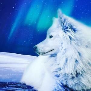 Meet your Posher, Alison